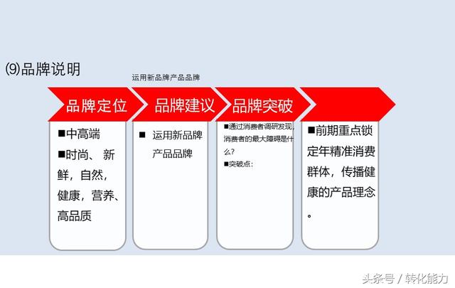 营销总经理总监定制、新项目战略营销规划方案，实用汇报PPT45页