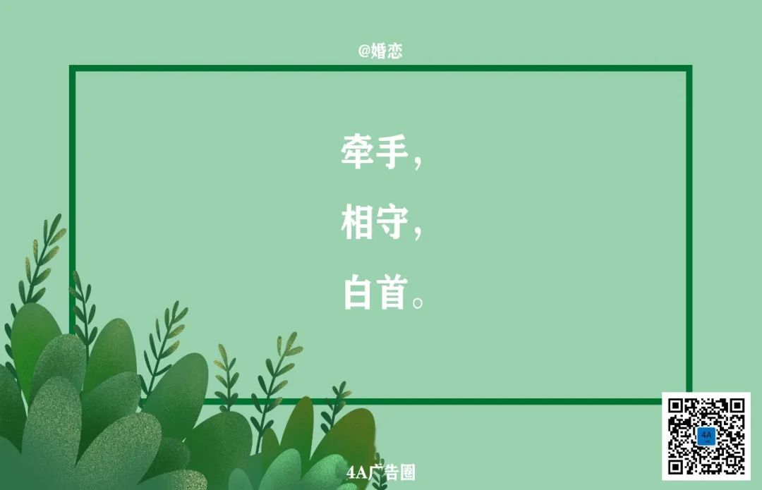 鸟哥笔记,广告营销,4A广告圈,策略,文案,营销