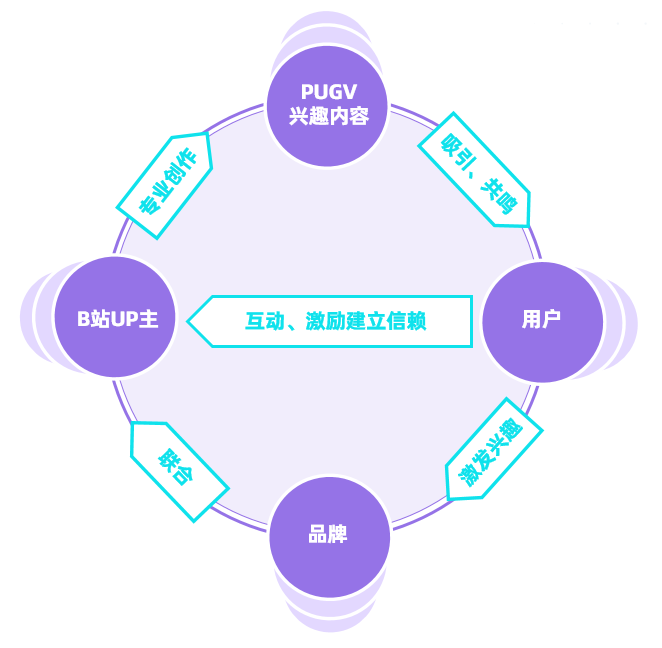 鸟哥笔记,视频直播,新榜,B站,案例,短视频