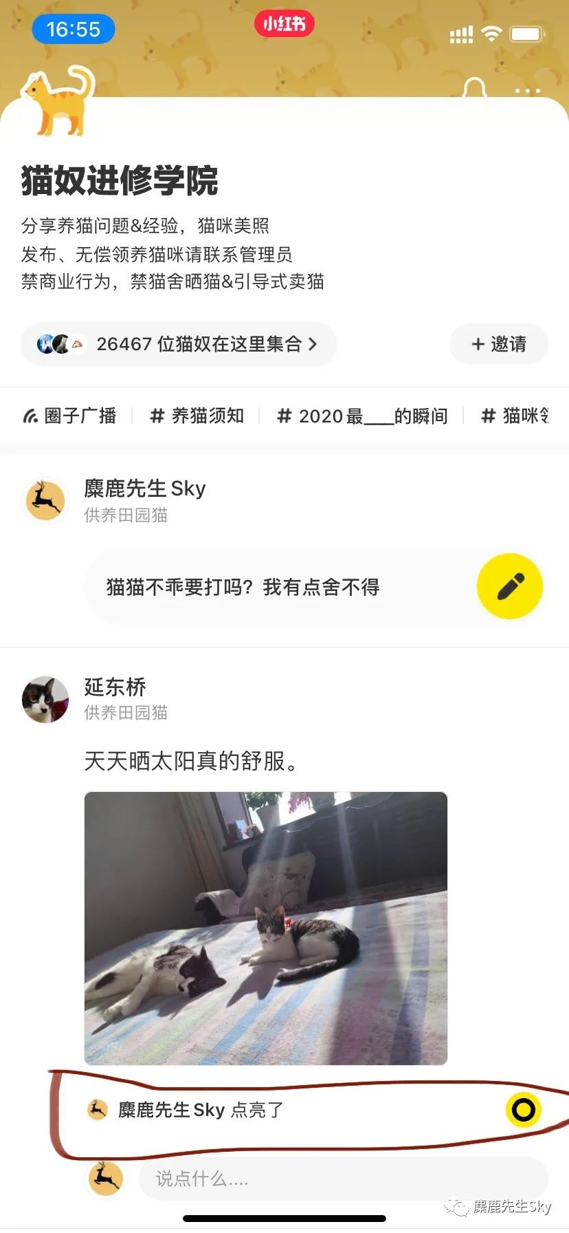 鸟哥笔记,新媒体运营,麋鹿先生Sky,小红书,UGC,新媒体营销