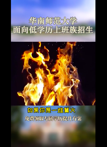 鸟哥笔记,信息流,宁阿姨,素材,用户,案例分析,广告投放,信息流广告