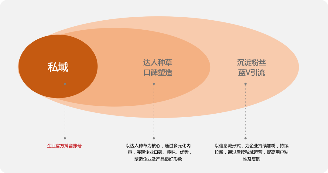 鸟哥笔记,品牌策略,营销思考杂货铺,研究,抖音,策划,策略