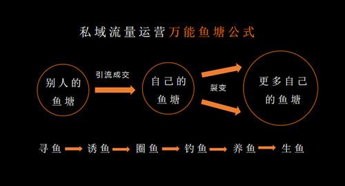 直播：漫谈底层原理 ，企业直播成功标准的思考