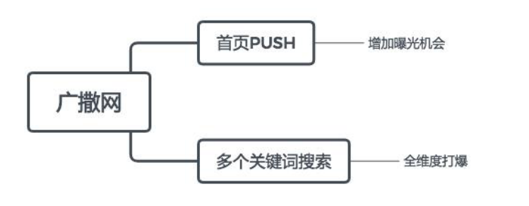 鸟哥笔记,新媒体运营,赵子辰Vic,内容生态,小红书