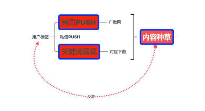 鸟哥笔记,新媒体运营,赵子辰Vic,内容生态,小红书