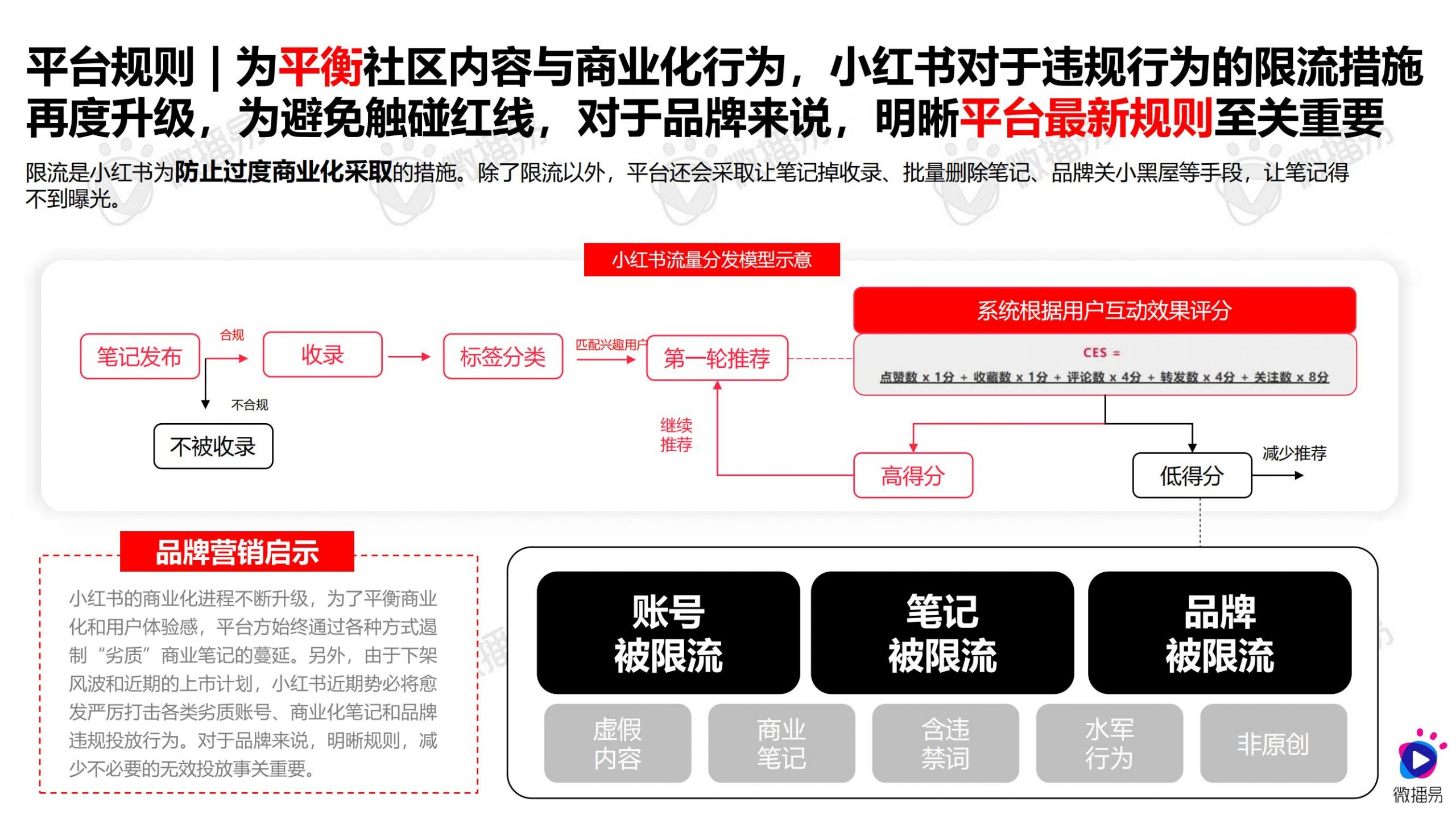 小红书营销趋势洞察