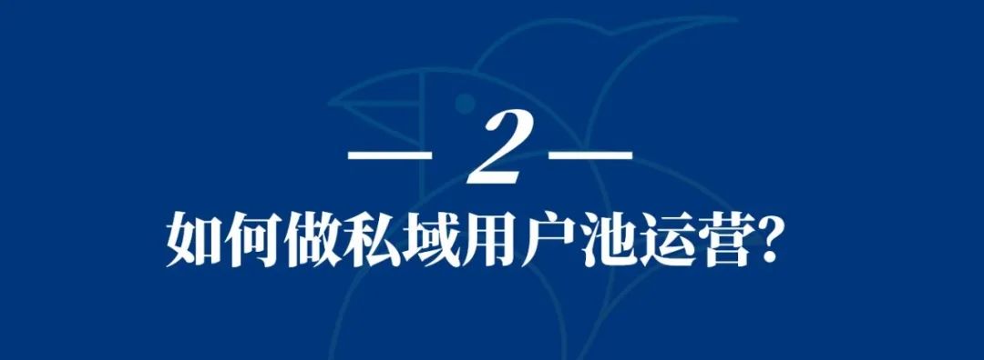 鸟哥笔记,用户运营,刘润,私域流量,案例分析,私域运营,案例分析