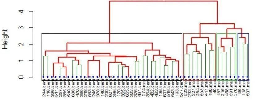 聚类分析：层次聚类模型的详细搭建步骤及原理