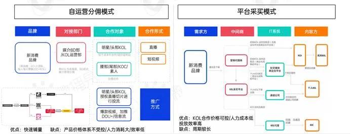 新消费品牌KOL营销的六大成功定律｜微播易研究报告