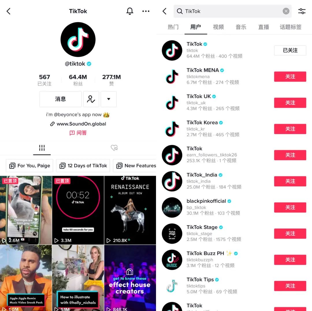 从TikTok TOP100博主，看10亿网民的快乐源泉