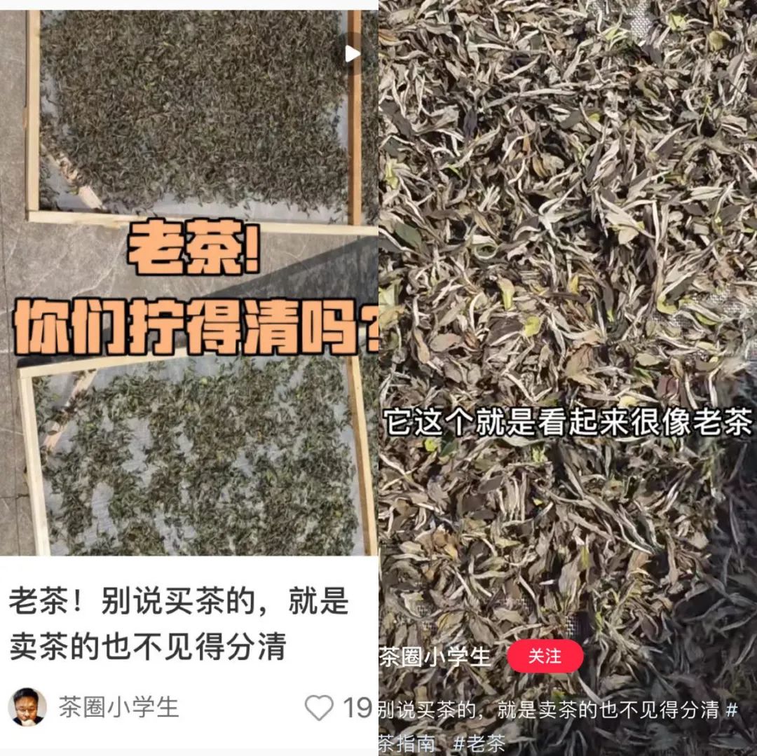 反智商税终于在抖音有流量了